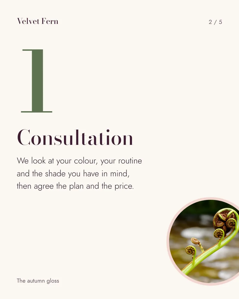 Concept carousel slide 2 for Velvet Fern: a large green numeral 1 and Consultation, with a short explanation and a round fern photo.