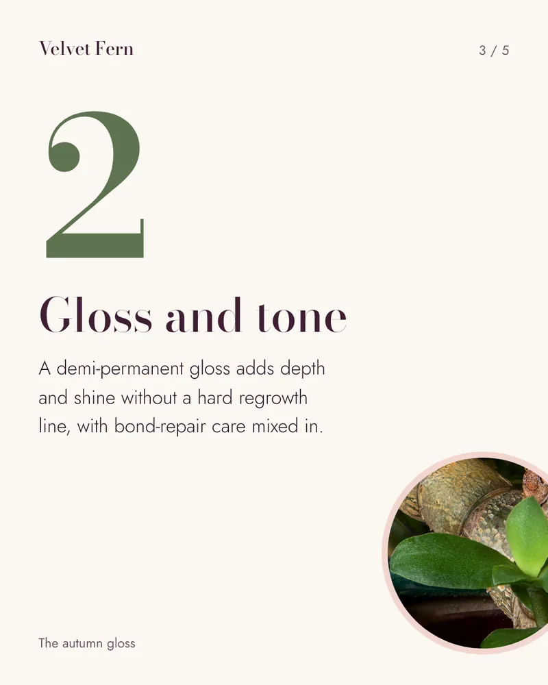 Concept carousel slide 3 for Velvet Fern: numeral 2, Gloss and tone, with a short explanation and a round photo of glossy jade leaves.