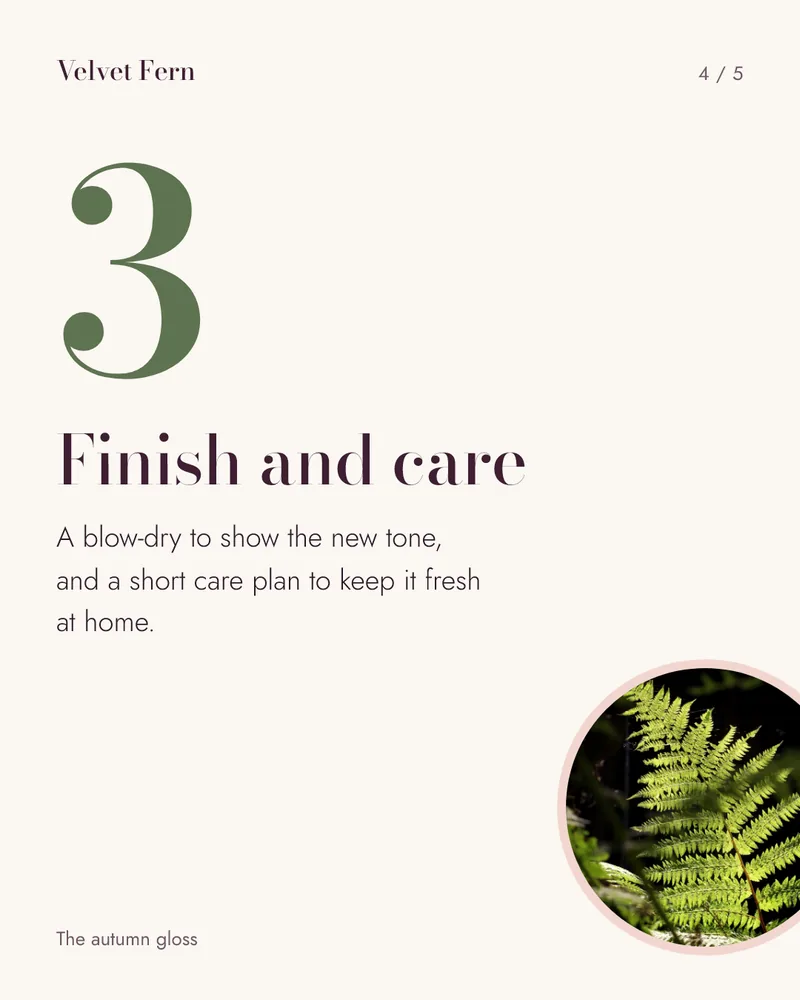 Concept carousel slide 4 for Velvet Fern: numeral 3, Finish and care, with a short explanation and a round fern photo.